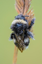 Similar image 12253008