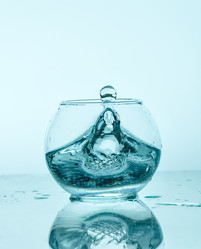 Similar image 12254575