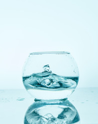 Similar image 12254576