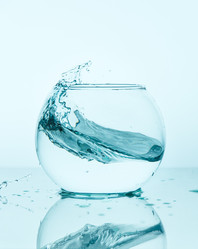 Similar image 12254579