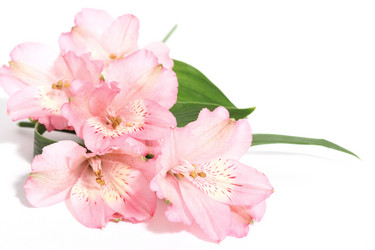 Similar image 12252962