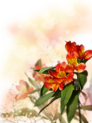 Similar image 12252965