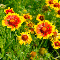 Similar image 12343230