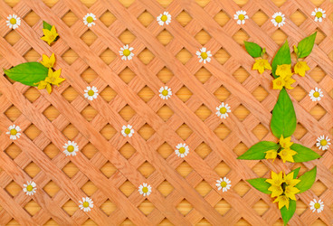 Similar image 12343231