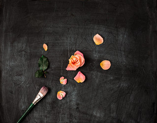 Similar image 12253879