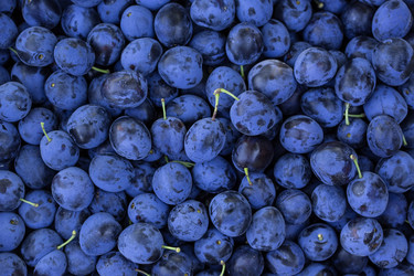 Similar image 12347958