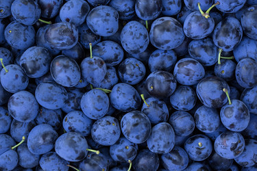 Similar image 12347918