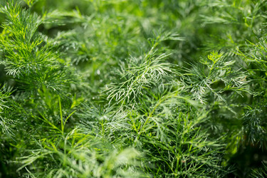 Similar image 12347919