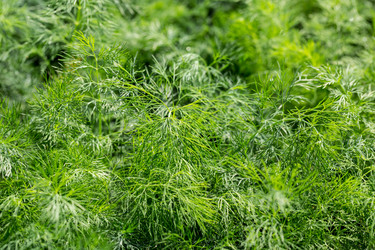 Similar image 12347922