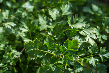 Similar image 12347925