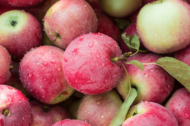 Similar image 12347944