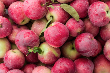 Similar image 12347946