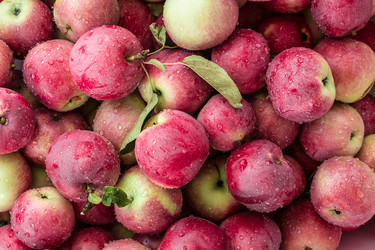 Similar image 12347948