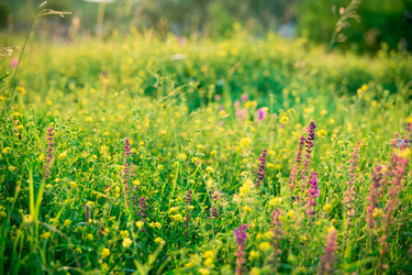 Similar image 12347953