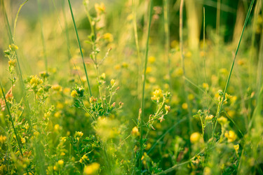 Similar image 12347955