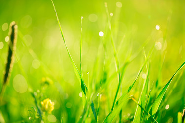 Similar image 12347960