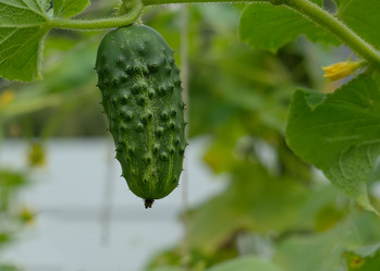 Similar image 12349706