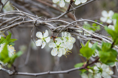 Similar image 12254523