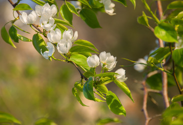 Similar image 12254524