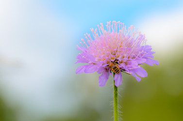 Similar image 12254546