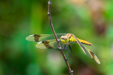 Similar image 12254548