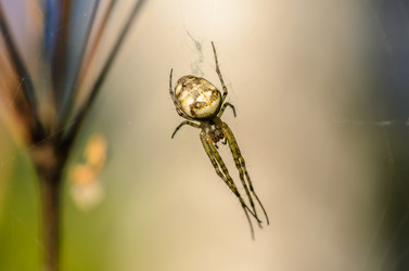 Similar image 12254559