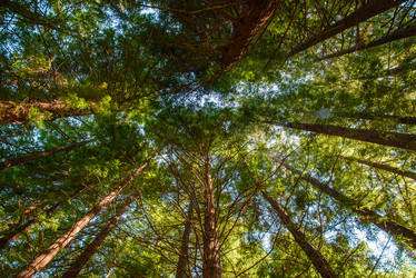 Similar image 12347244