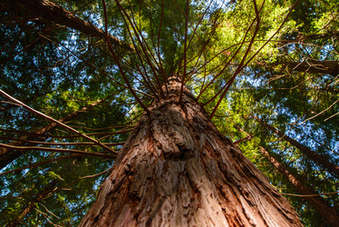 Similar image 12347245