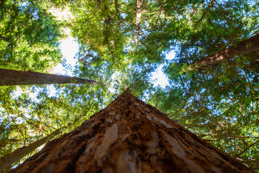 Similar image 12347247