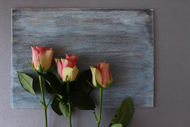 Similar image 12254536