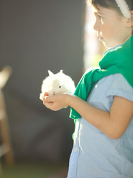 Similar image 12346690