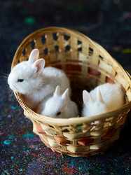 Similar image 12346710