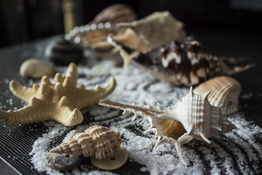 Similar image 12343566