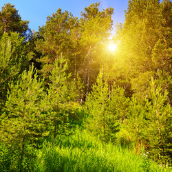 Similar image 12347363