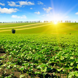 Similar image 12347368