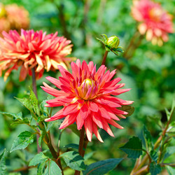 Similar image 12347373