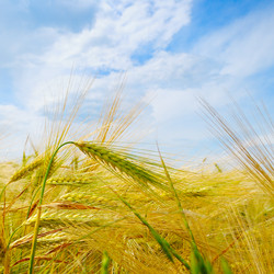 Similar image 12347376