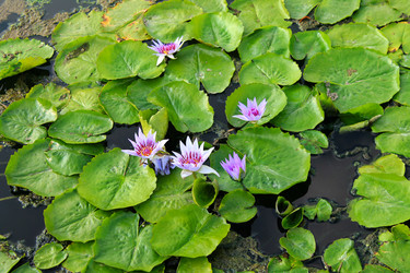 Similar image 12343568