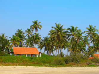 Similar image 12343569