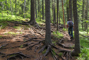 Similar image 12343259