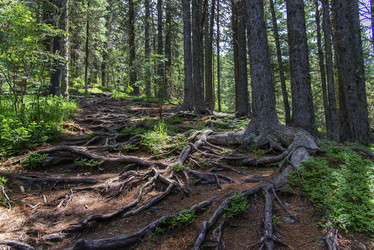 Similar image 12343260