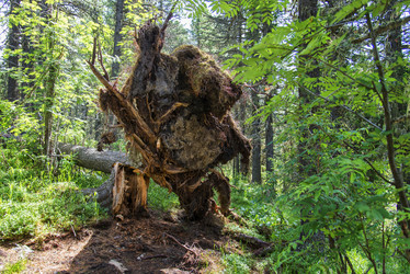 Similar image 12343239