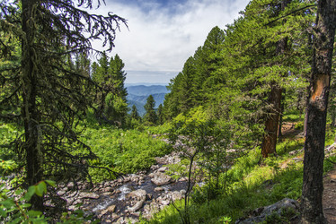 Similar image 12343261