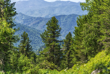 Similar image 12343262