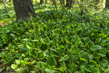 Similar image 12343467