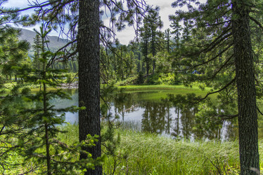 Similar image 12343469