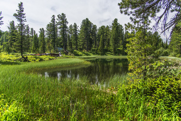 Similar image 12343470