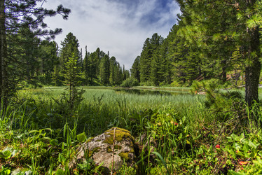 Similar image 12343471