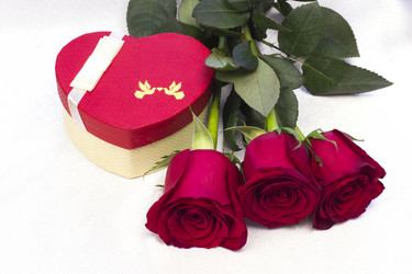 Similar image 12343583