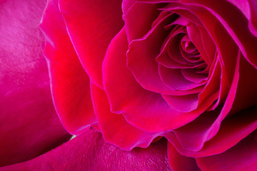 Similar image 12343477